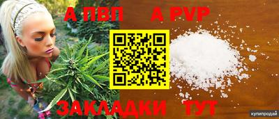 spice Нальчик
