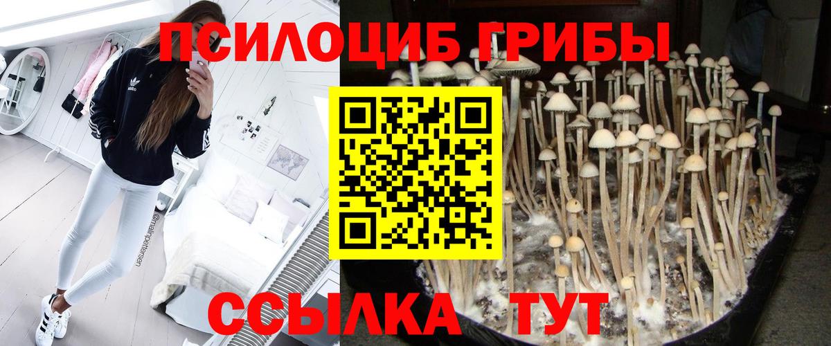 Галлюциногенные грибы GOLDEN TEACHER  Вход с VPN  Советский 