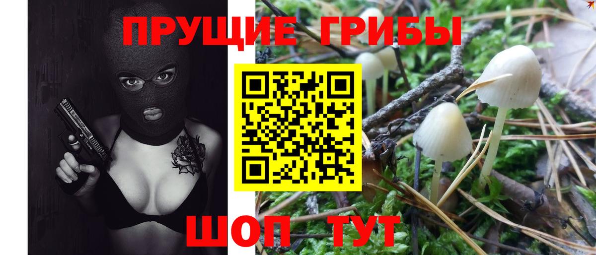 Галлюциногенные грибы GOLDEN TEACHER Советский